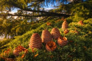 camping-a-la-ferme-la-folie-glamping-lagnes-gorde-4135132f-8cc4-4c68-9114-1db038ad0506