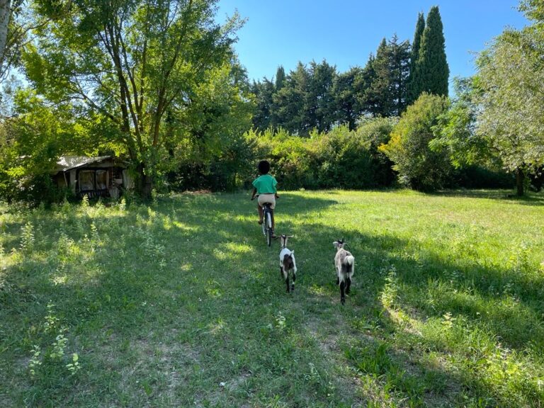 camping-a-la-ferme-la-folie-glamping-lagnes-gorde-99761fd1-b1bc-48d1-9c98-33263243c8d5-2