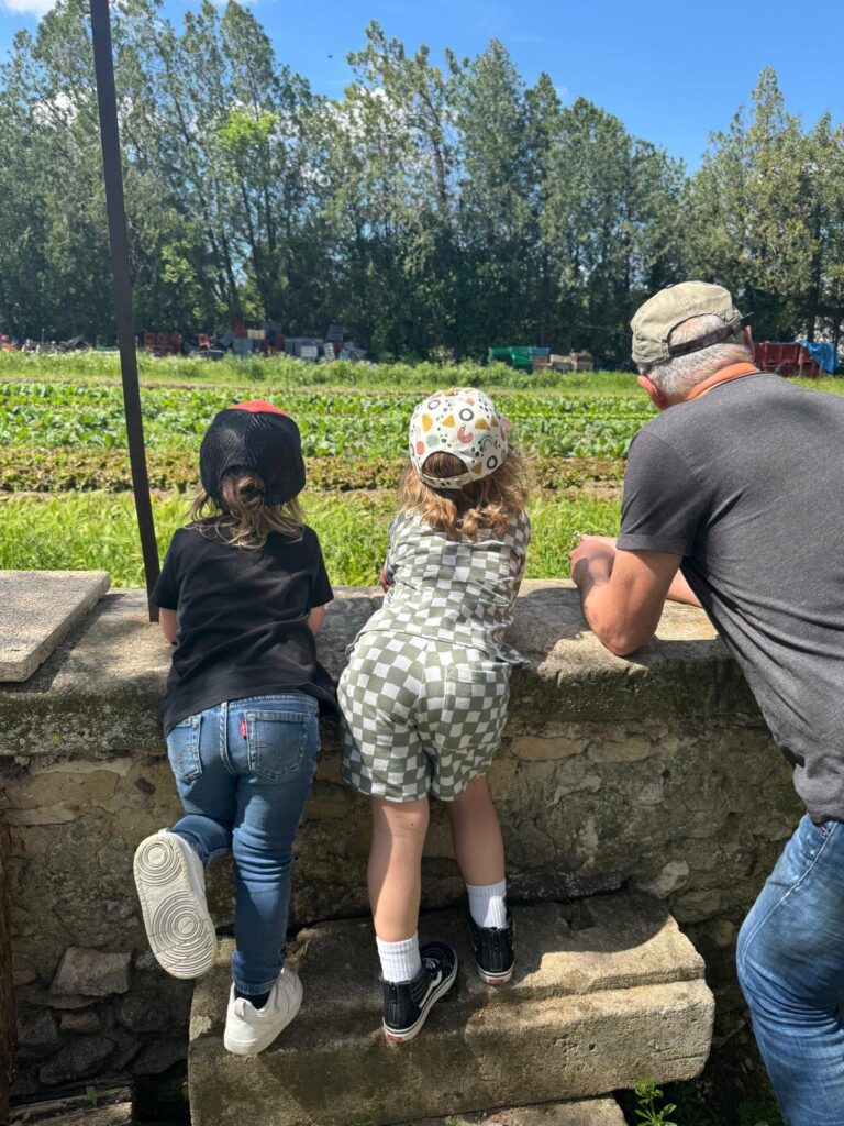 camping-a-la-ferme-la-folie-glamping-lagnes-gorde-e3dbe15b-6b26-49ca-a3de-72bc486660c5-2